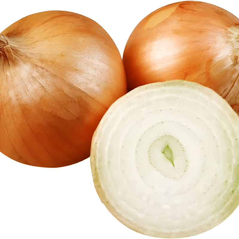 SPANISH ONION
