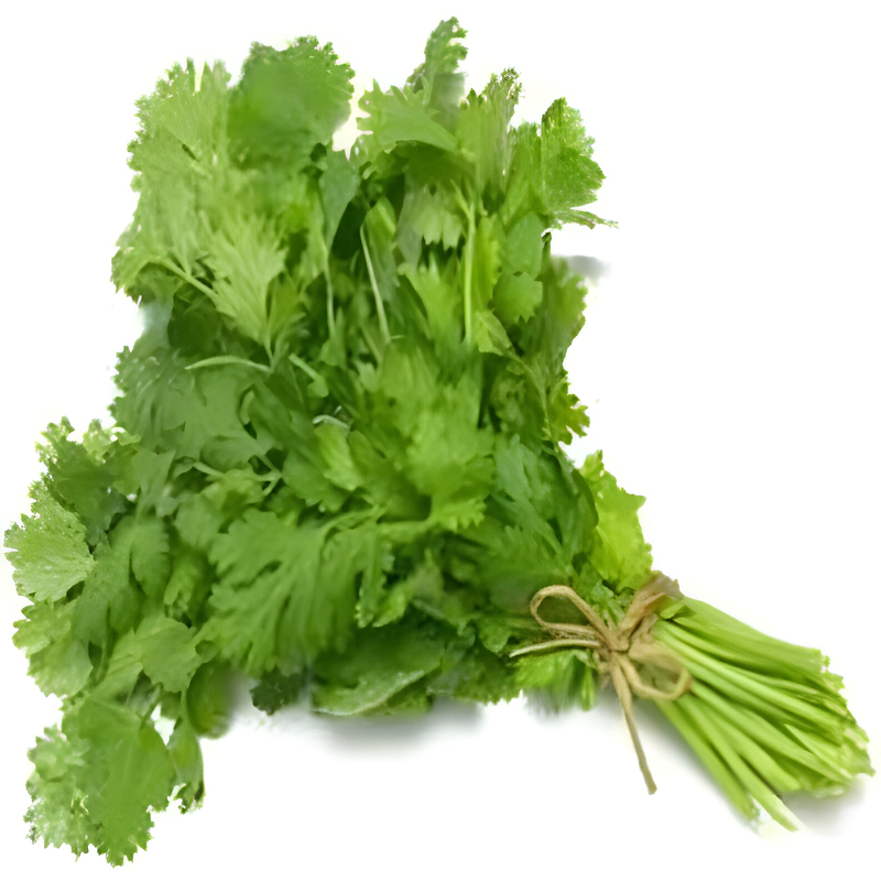 CORIANDER