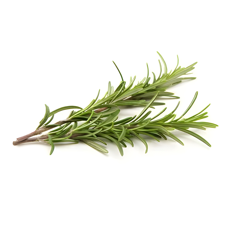 FRESH ROSEMARY