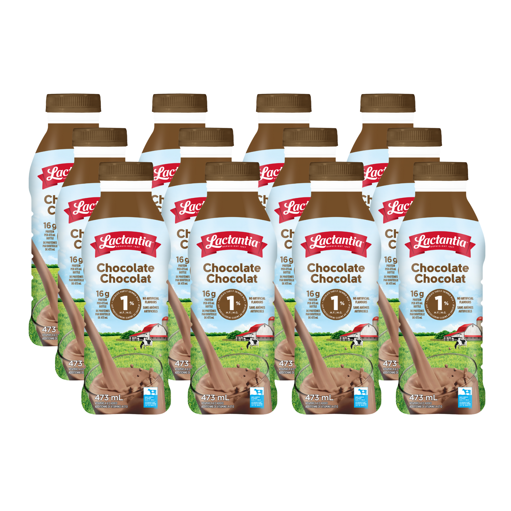 CHOCOLATE MILK 473ml (12)