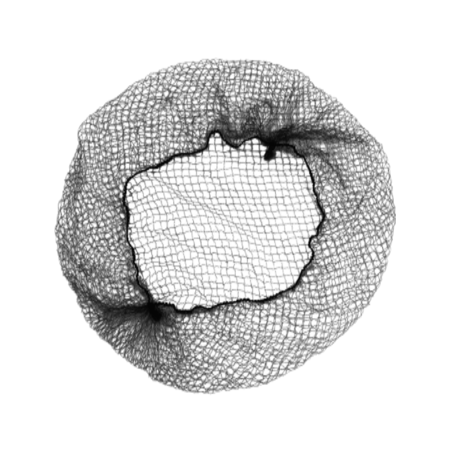 HAIRNET LIGHTWEIHT INVIS